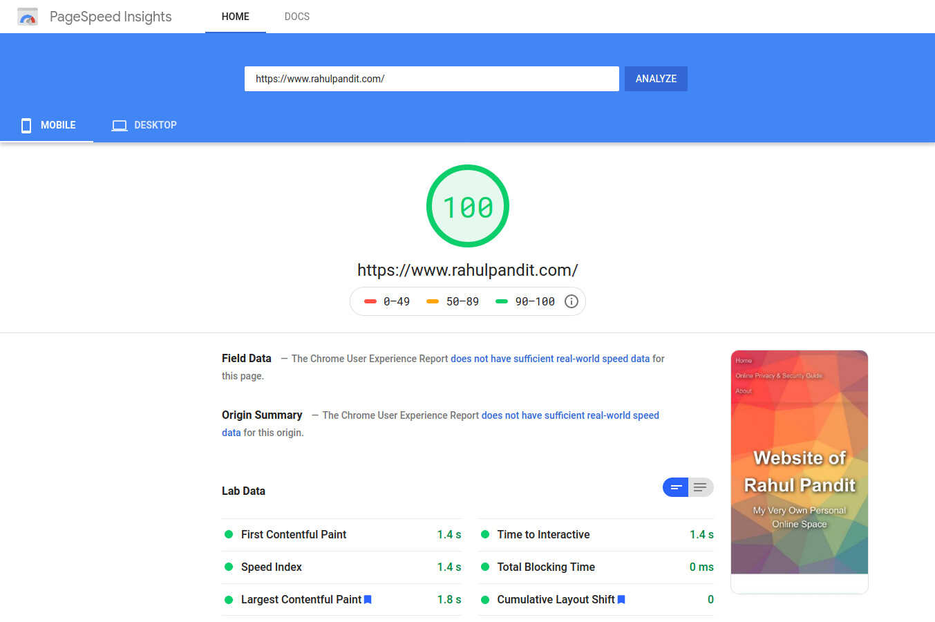 PageSpeed Insights Mobile